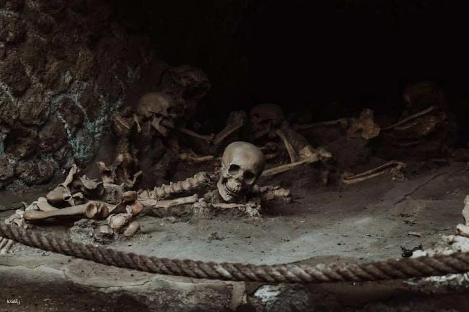 Herculaneum archaeological site access with audio guide