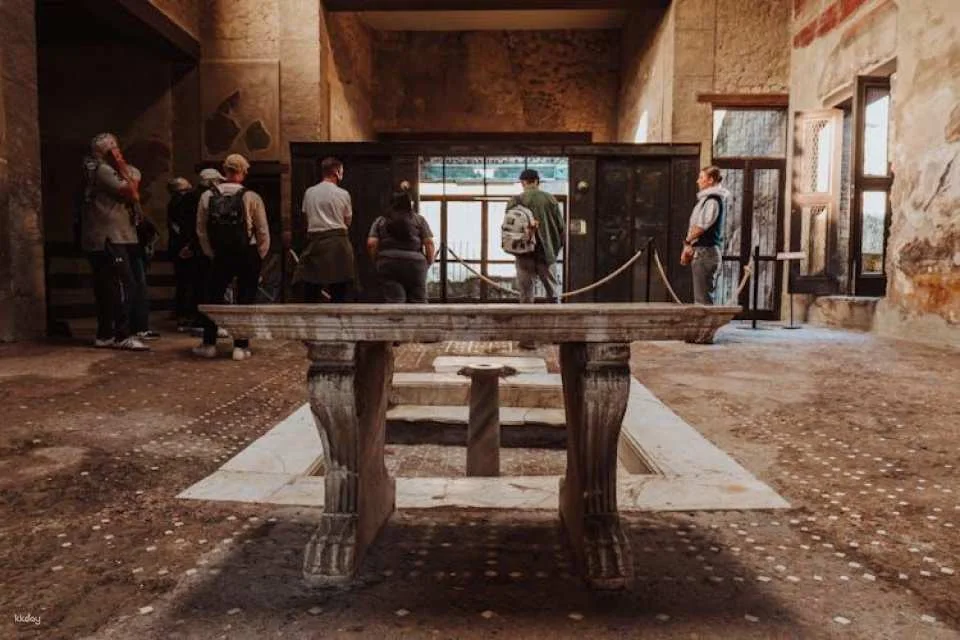 Herculaneum archaeological site access with audio guide