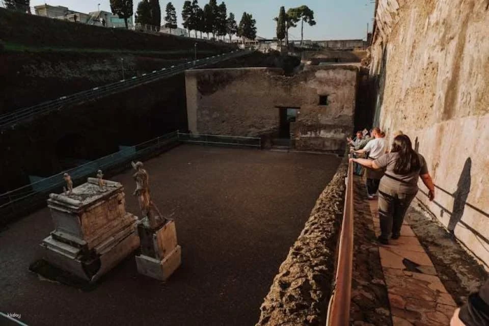 Herculaneum archaeological site access with audio guide