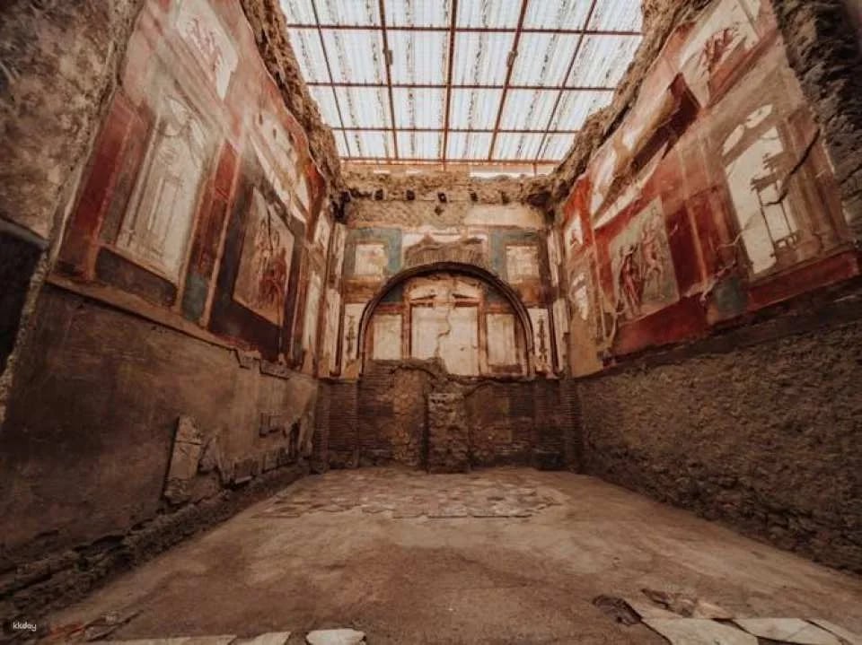 Herculaneum archaeological site access with audio guide
