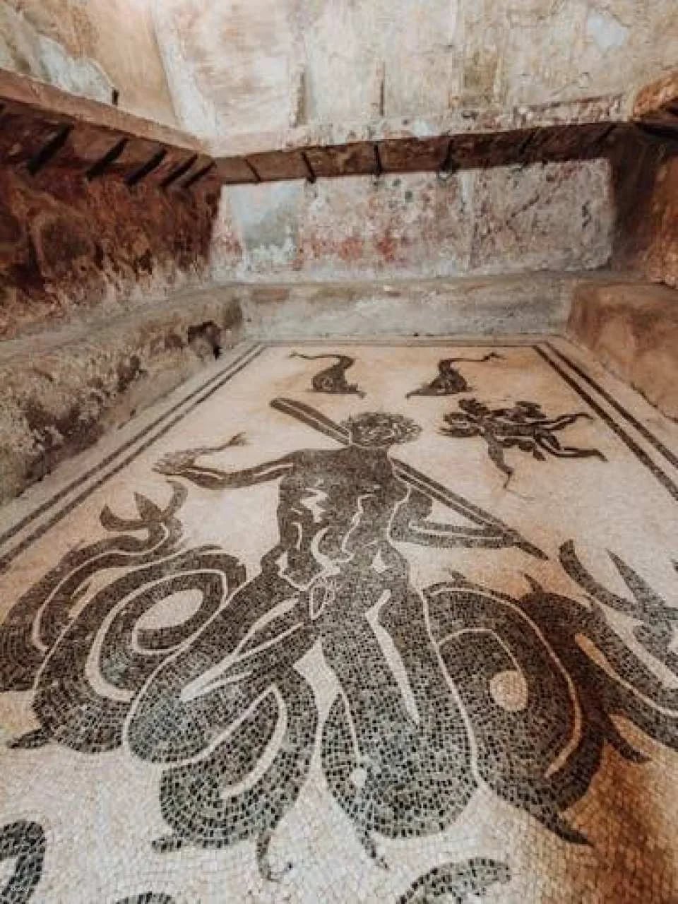 Herculaneum archaeological site access with audio guide