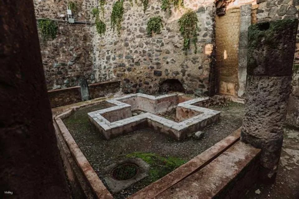 Herculaneum archaeological site access with audio guide