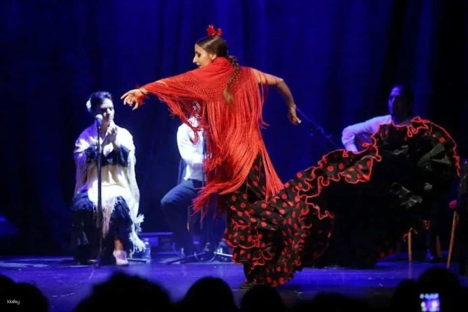 Flamenco show at Barcelona City Hall Theater