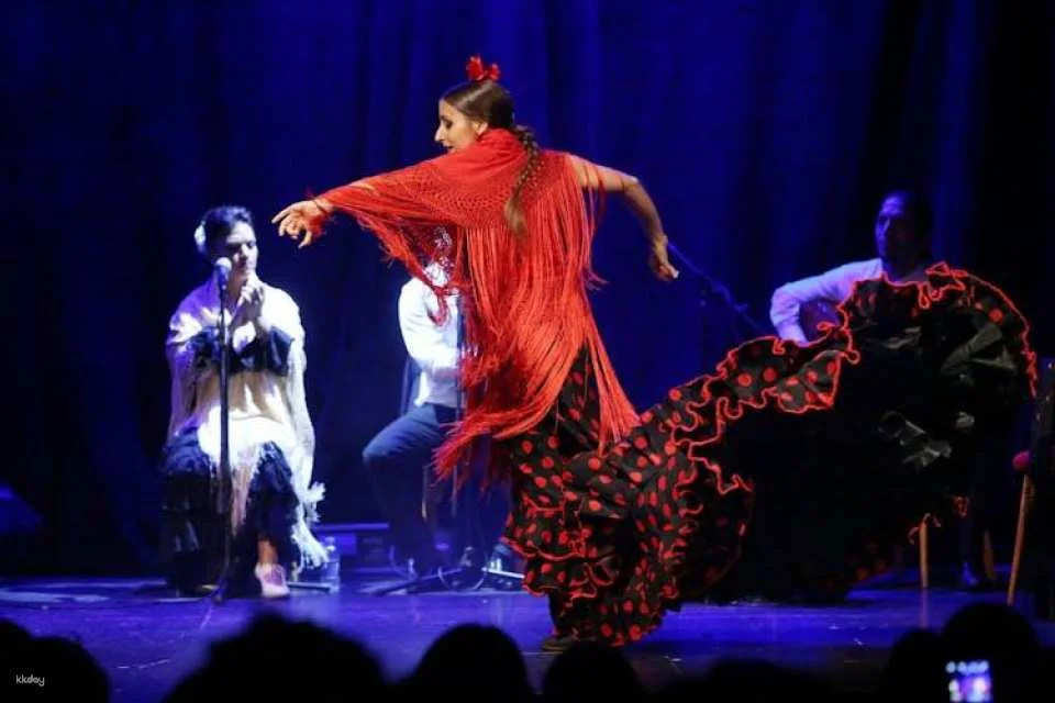 Flamenco show at Barcelona City Hall Theater