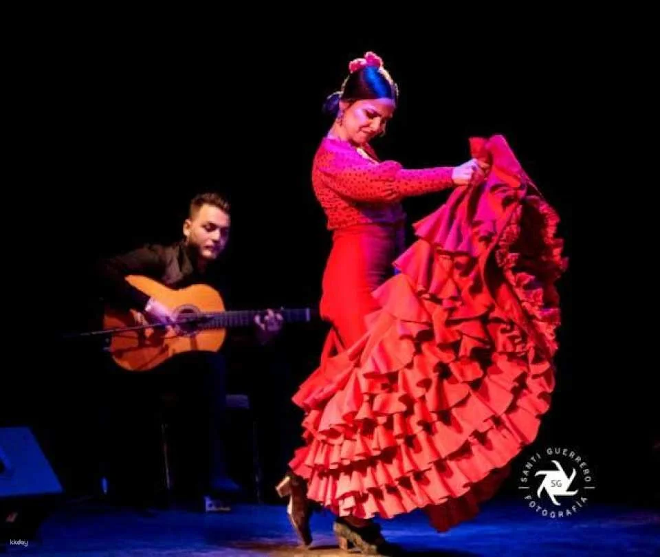 Flamenco show at Barcelona City Hall Theater