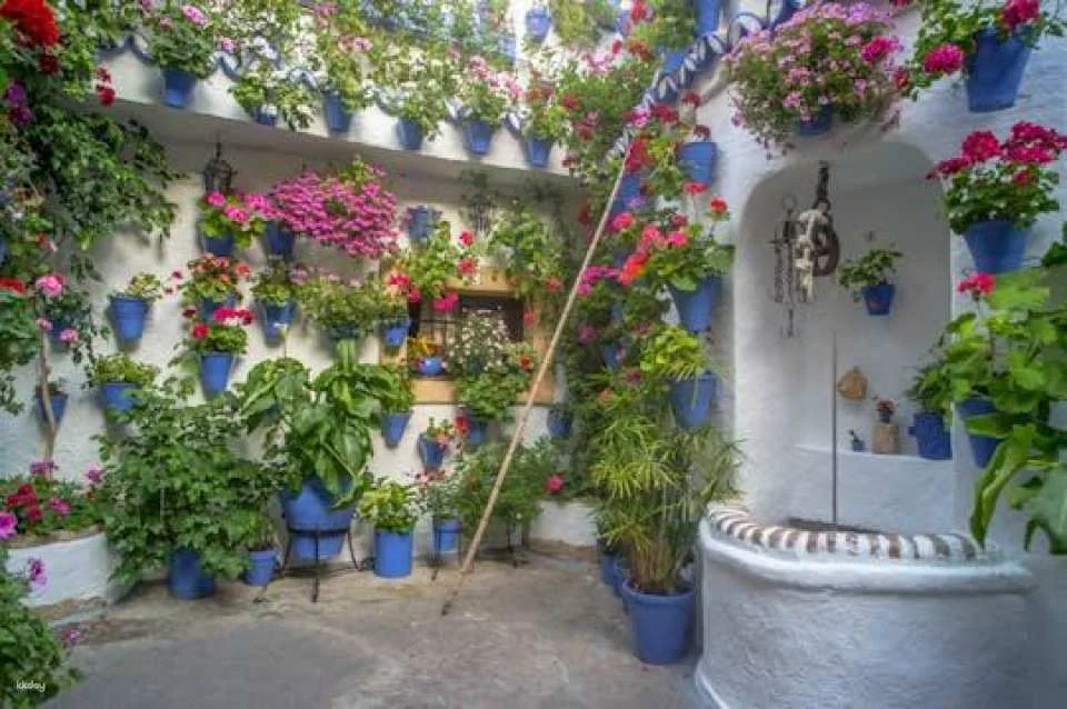 Guided tour of Cordoba's UNESCO Heritage Patios