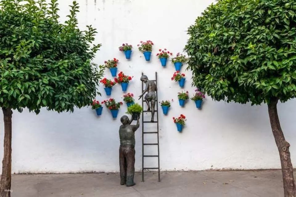 Guided tour of Cordoba's UNESCO Heritage Patios
