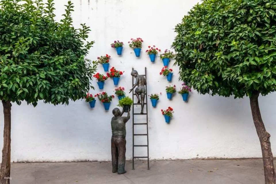 Guided tour of Cordoba's UNESCO Heritage Patios