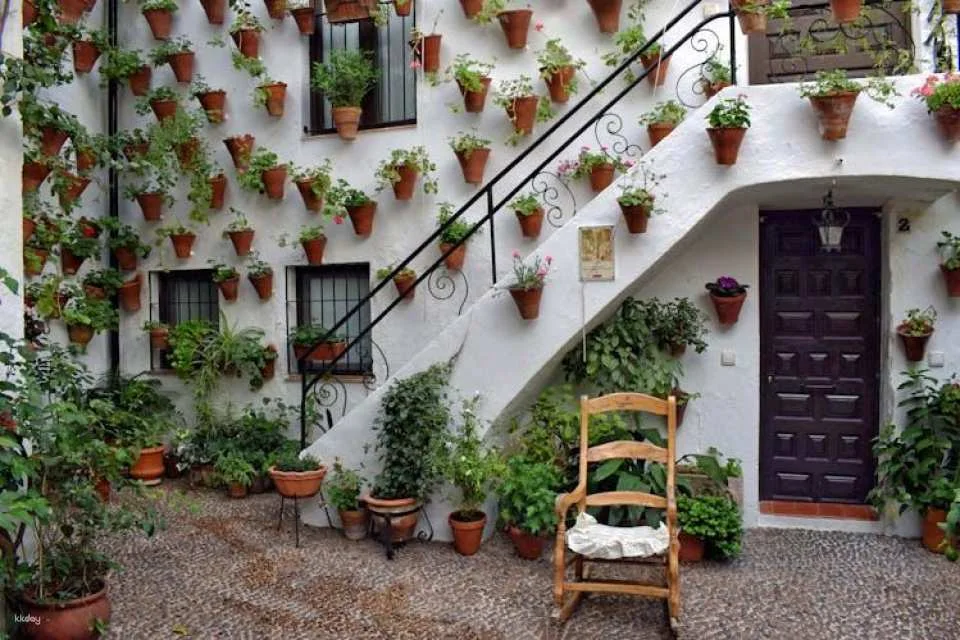 Guided tour of Cordoba's UNESCO Heritage Patios