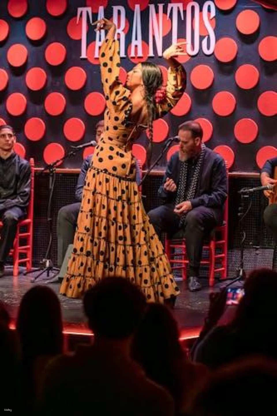 Flamenco show and tapas dinner