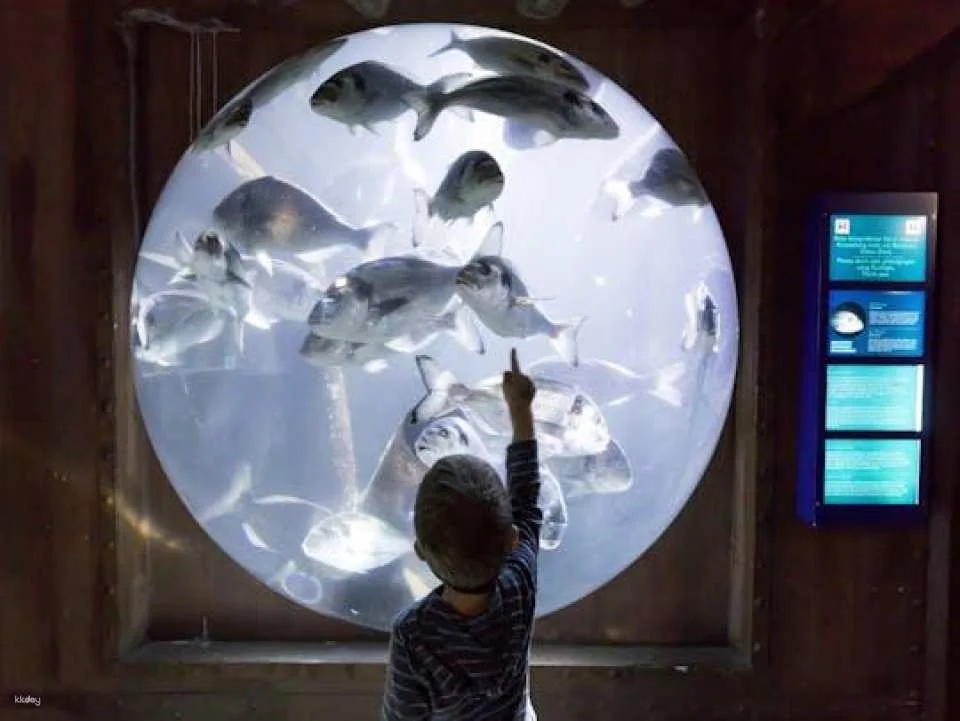 Entrance tickets to discover Speyer Sea Life aquarium