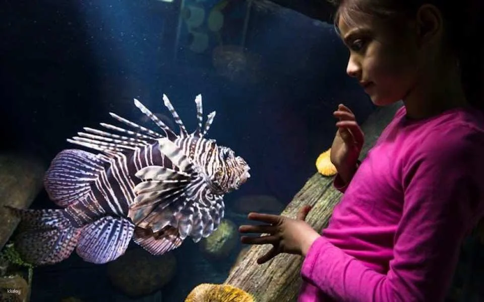 Entrance tickets to discover Speyer Sea Life aquarium