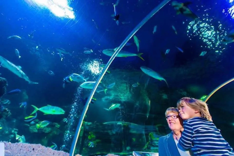 Entrance tickets to discover Speyer Sea Life aquarium