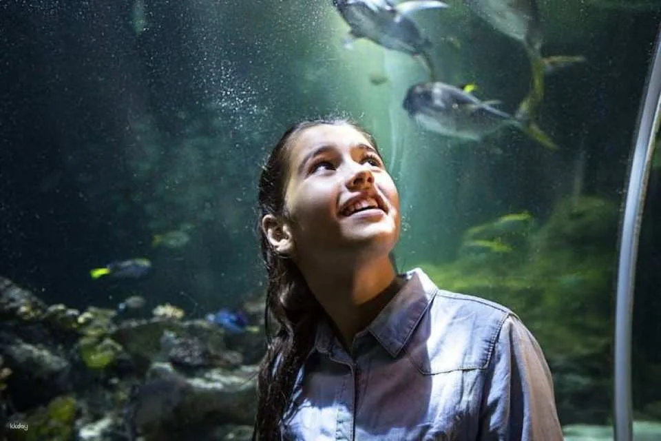 Entrance tickets to discover Speyer Sea Life aquarium