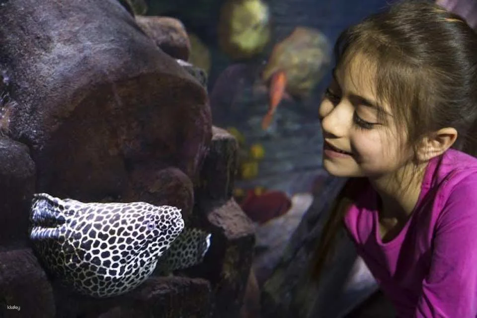Entrance tickets to discover Speyer Sea Life aquarium