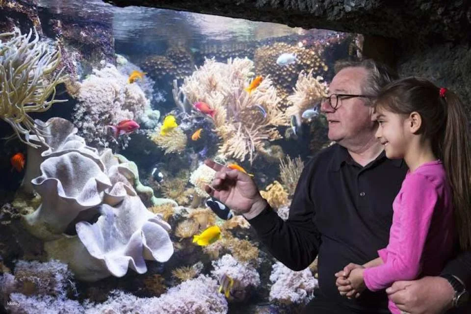 Entrance tickets to discover Speyer Sea Life aquarium
