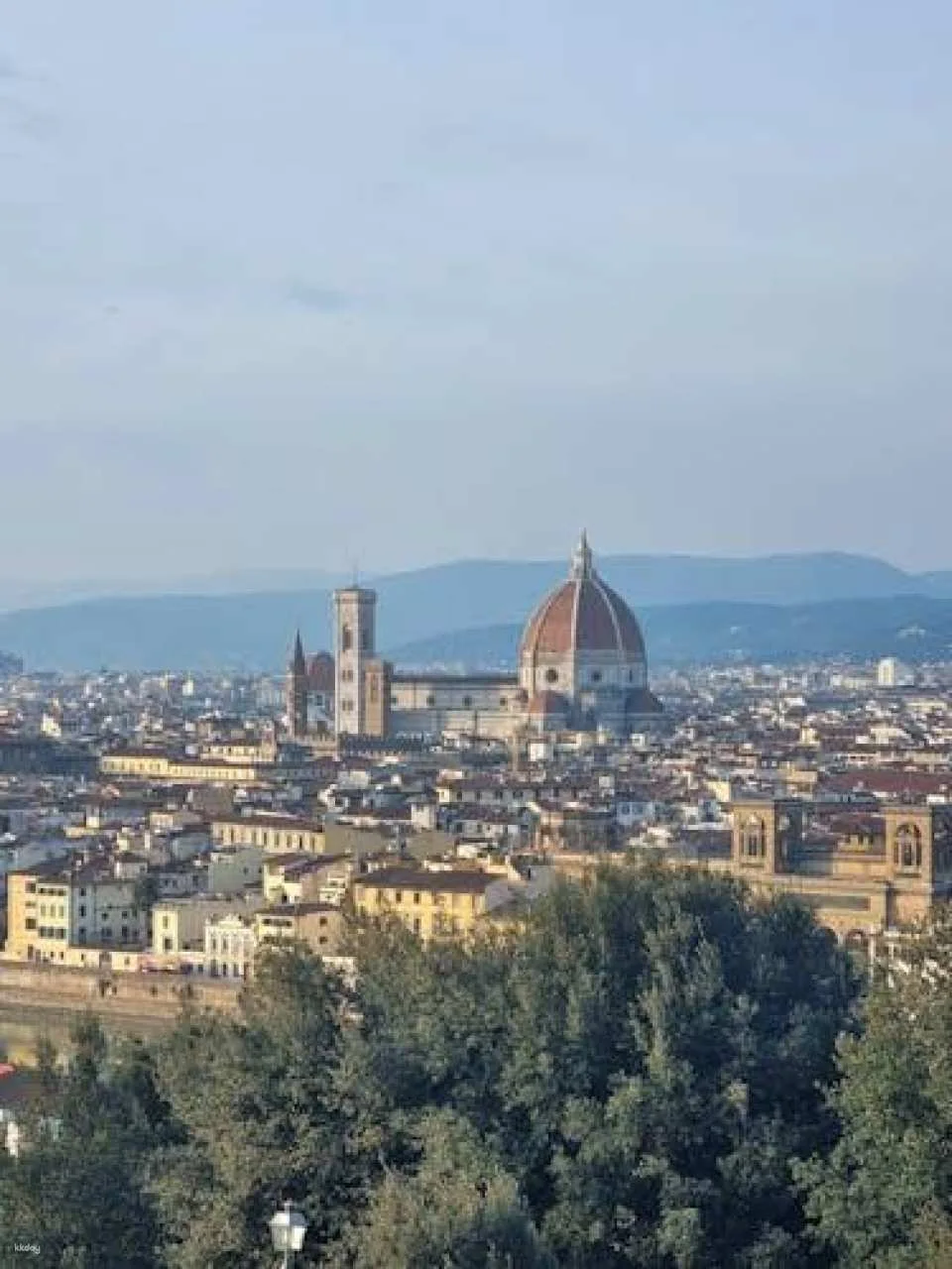 Guided tour from Rome to Florence and Pisa with access to the tower
