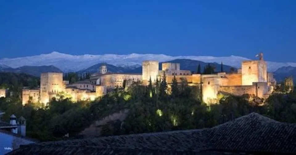 Alhambra skip-the-line tickets and guided tour at night