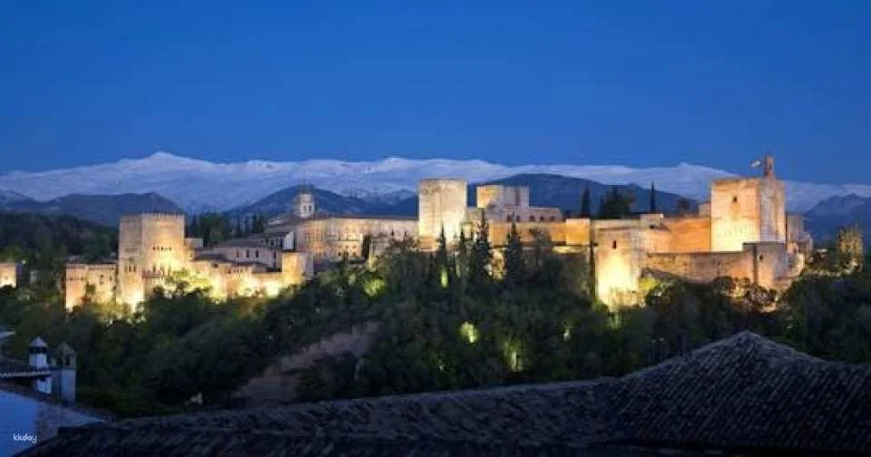 Alhambra skip-the-line tickets and guided tour at night