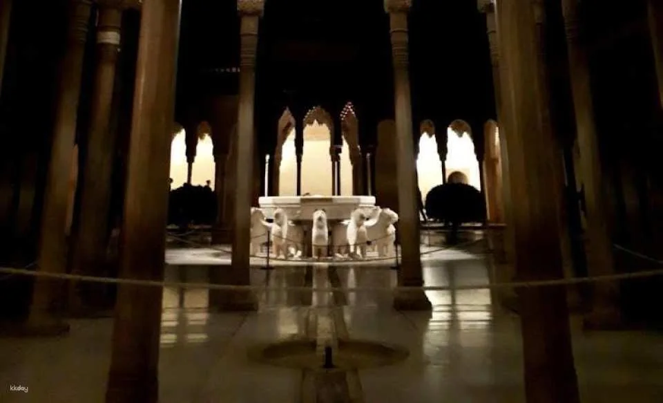 Alhambra skip-the-line tickets and guided tour at night
