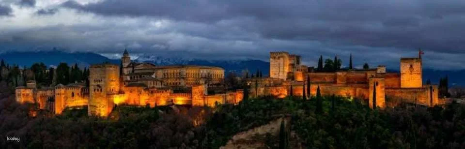 Alhambra skip-the-line tickets and guided tour at night