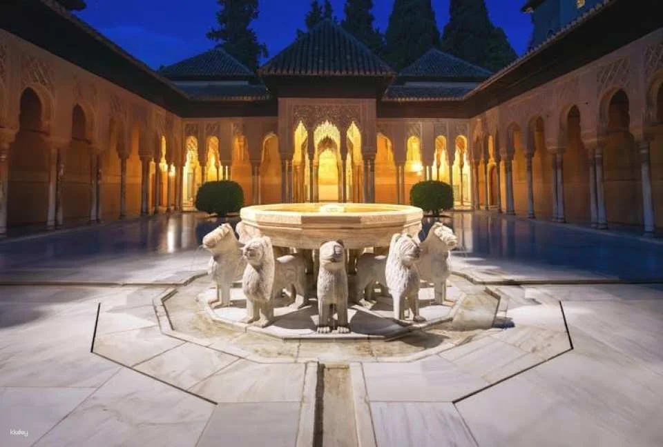 Alhambra skip-the-line tickets and guided tour at night