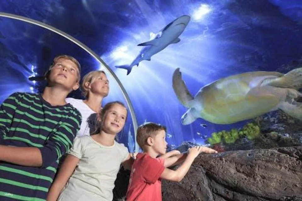 Entrance tickets to Timmendorfer Sea Life aquarium