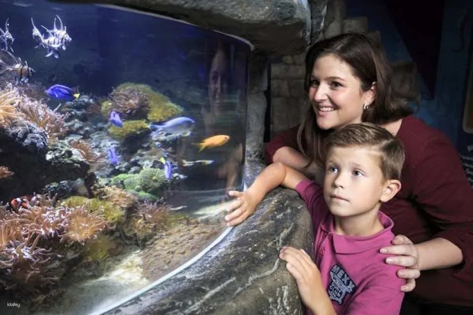 Entrance tickets to Timmendorfer Sea Life aquarium