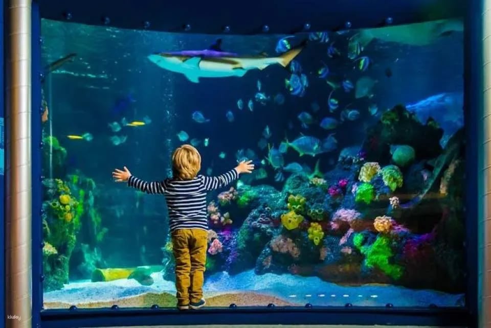 Entrance tickets to Timmendorfer Sea Life aquarium