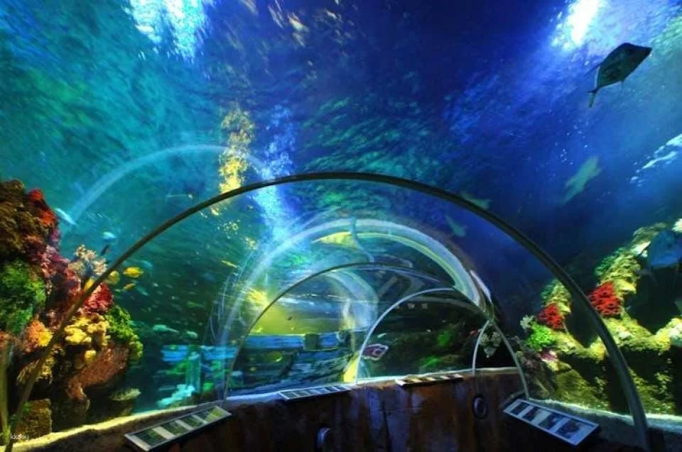 Entrance tickets to Timmendorfer Sea Life aquarium