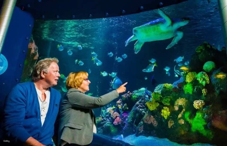 Entrance tickets to Timmendorfer Sea Life aquarium