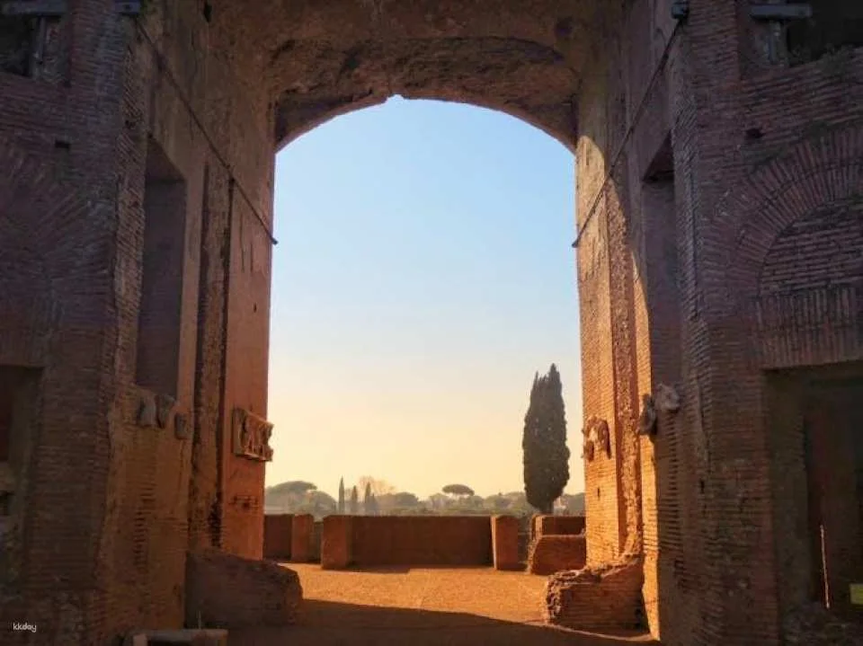 Colosseum semi-private tour with Roman Forum and Palatine Hill