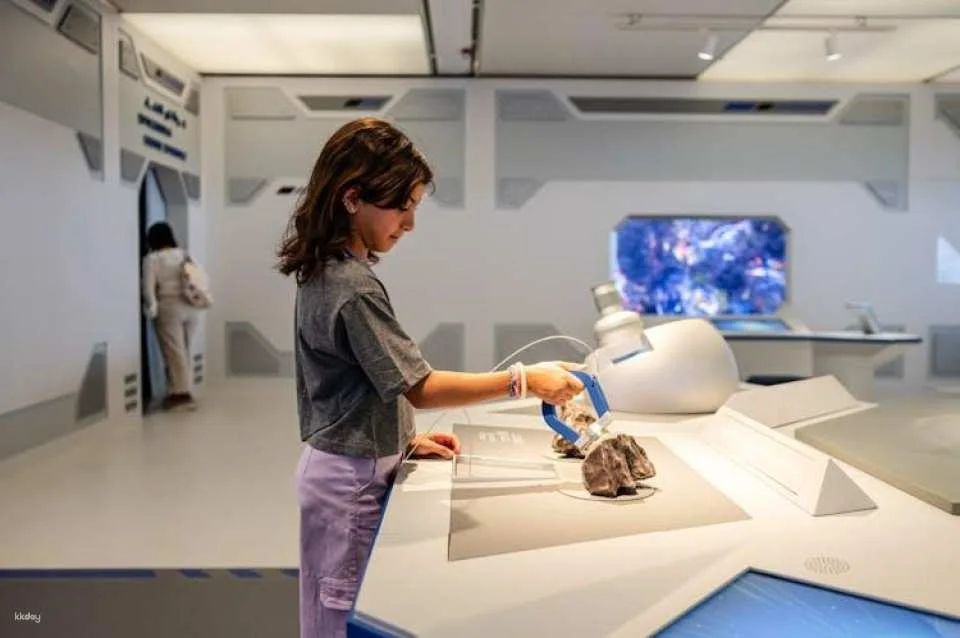 Skip-the-line tickets for Louvre Abu Dhabi Museum