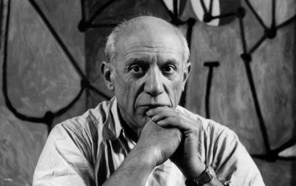 Picasso Museum Barcelona entry ticket and in-app audio tour