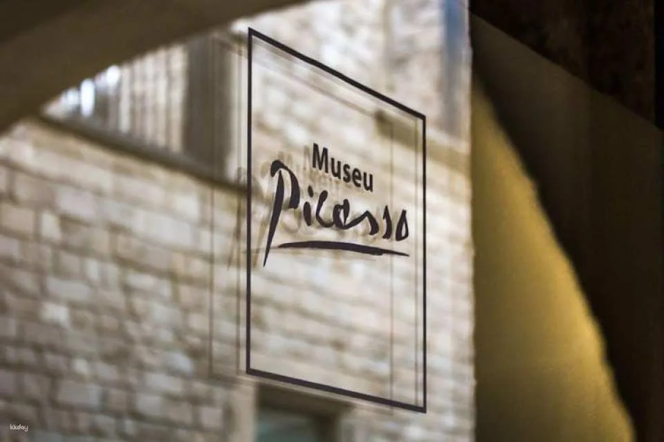 Picasso Museum Barcelona entry ticket and in-app audio tour