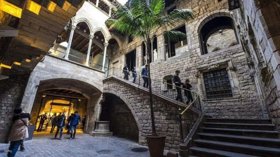 Picasso Museum Barcelona entry ticket and in-app audio tour