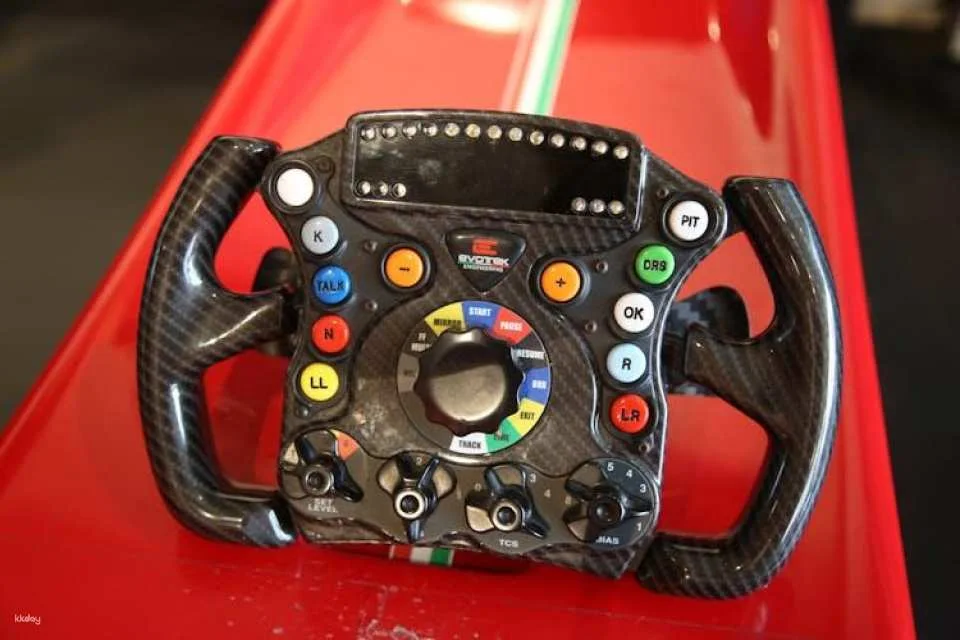 Maranello Ferrari Museum entry and professional F1 simulator