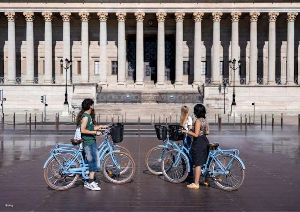 3-hour city highlights bike tour in Lyon