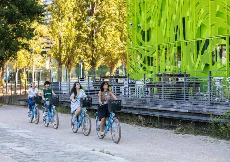 3-hour city highlights bike tour in Lyon
