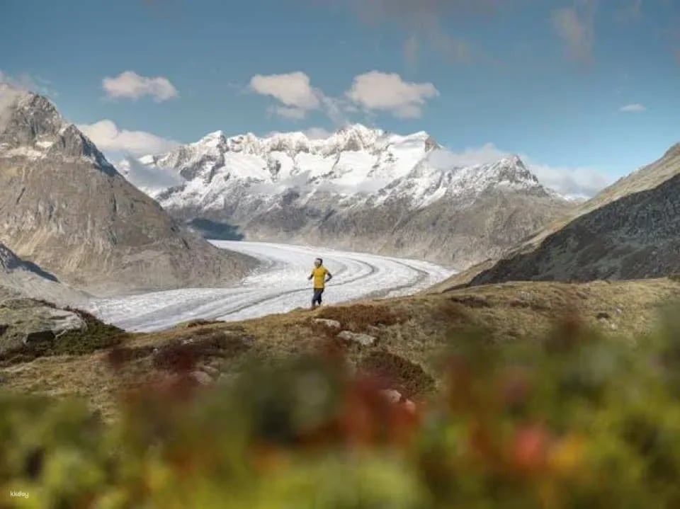 Aletsch Arena day pass with unlimited mountain transport