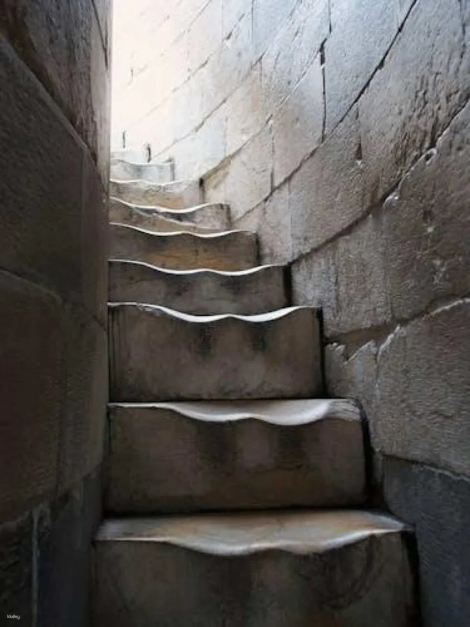 Full visit to the Field of Miracles with Leaning Tower climbing