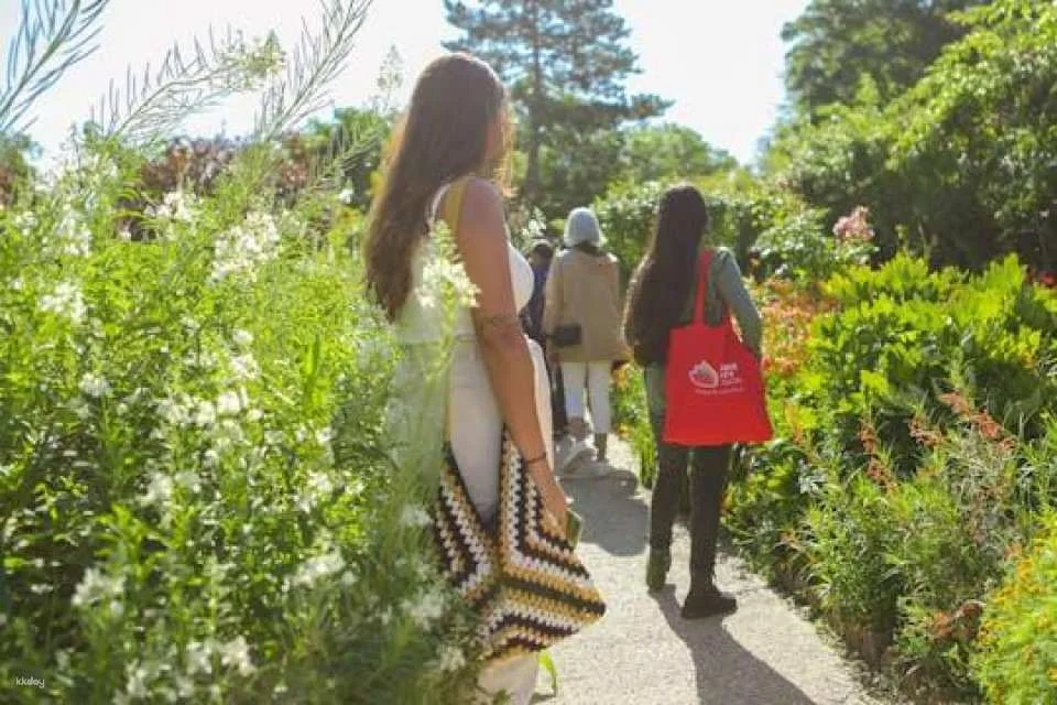 Excursion to Giverny Monet's Gardens and Versailles Palace with audio guide and lunch