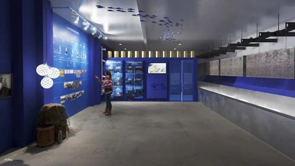 Anchovy factory museum entrance with audioguide and tasting