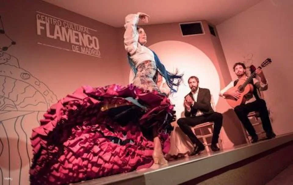 Traditional flamenco show in Madrid (603718)