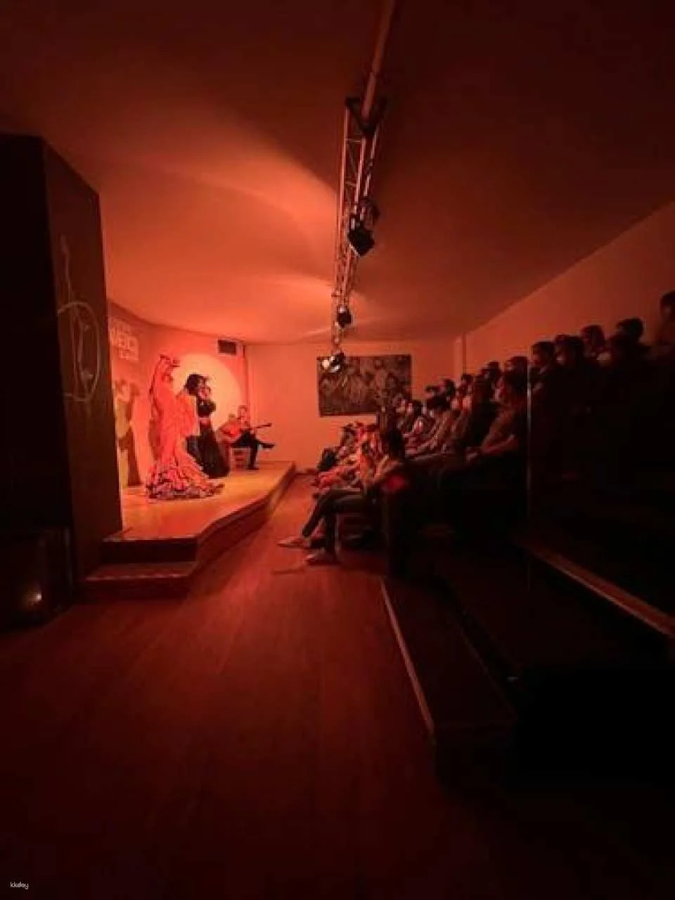 Traditional flamenco show in Madrid