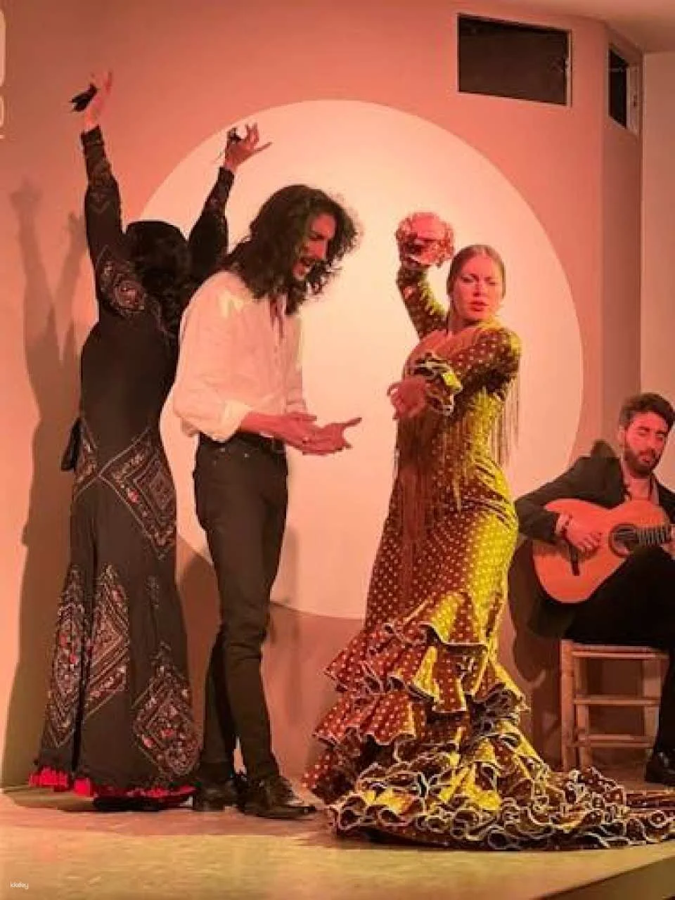 Traditional flamenco show in Madrid