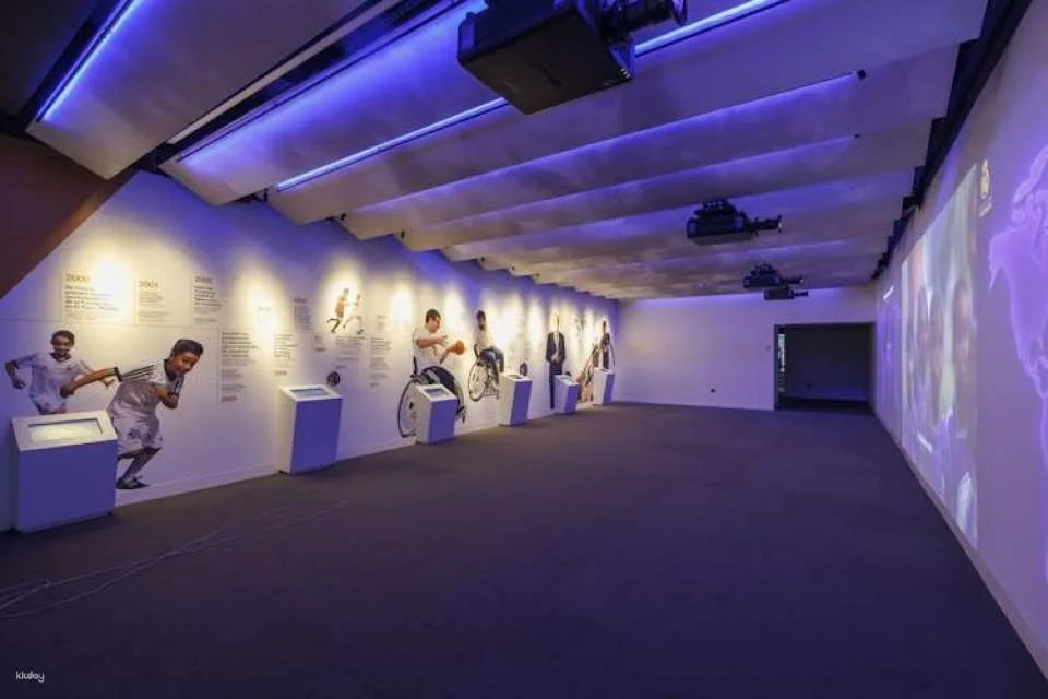 Santiago Bernabéu and Real Madrid guided tour