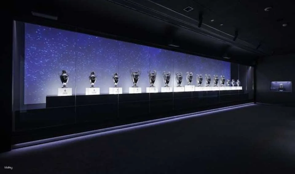 Santiago Bernabéu and Real Madrid guided tour