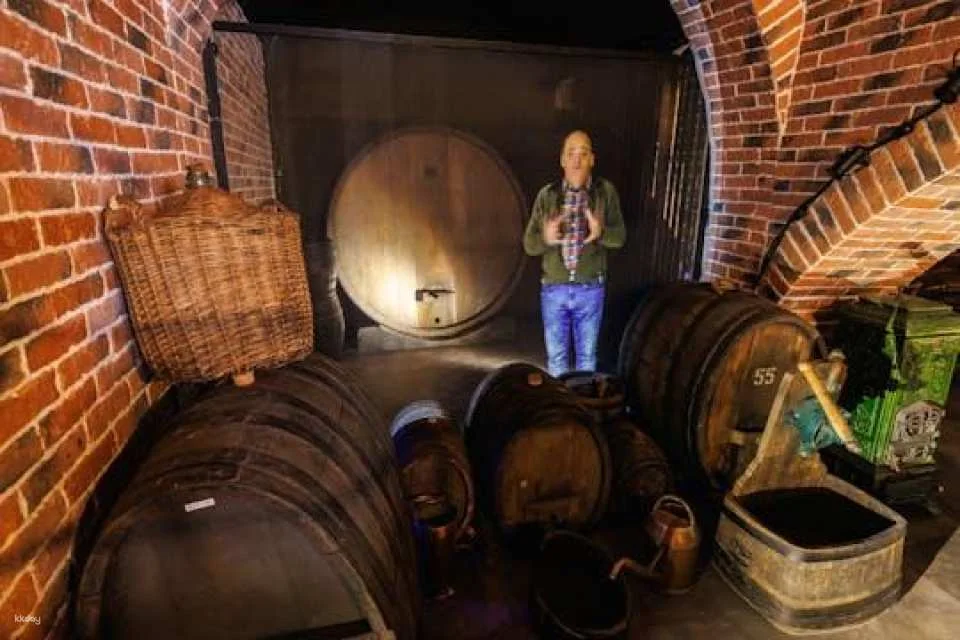 Tickets for Alsace Wine Museum in Colmar