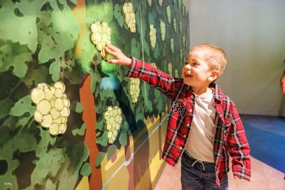 Tickets for Alsace Wine Museum in Colmar